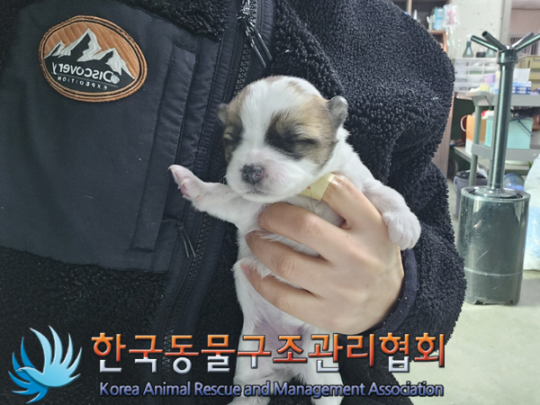 한국동물구조관리협회_441406202402258